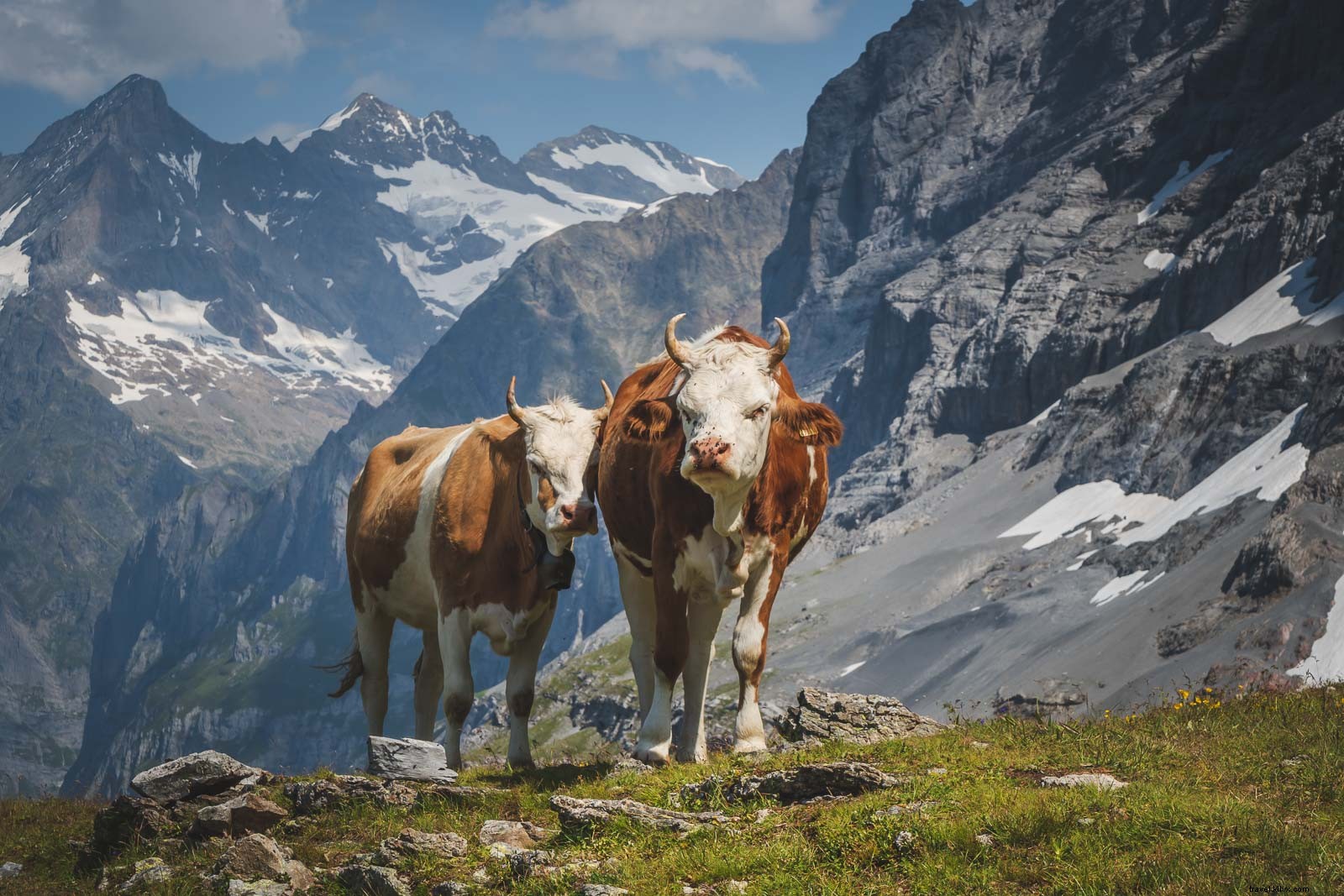 16 fatos incríveis sobre a Suíça