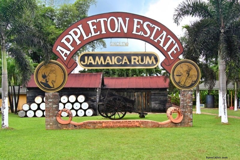 67 cosas divertidas para hacer en Jamaica