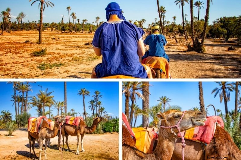 50 coisas divertidas para fazer em Marrakech, Marrocos