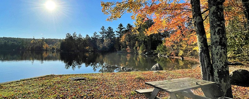 9 lugares para capturar el color del otoño en la región de Dartmouth-Lake Sunapee 