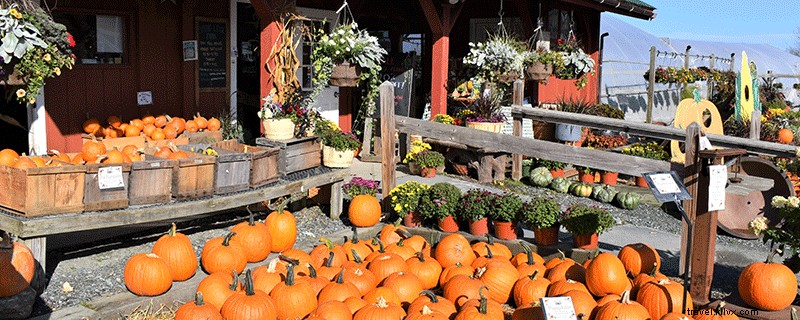 9 punti per catturare i colori dell autunno nella regione di Dartmouth-Lake Sunapee 