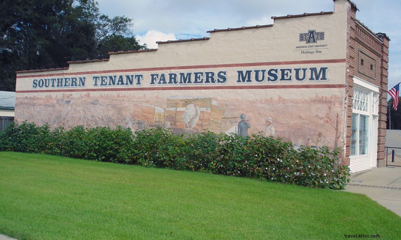 In primo piano:Museo dei contadini inquilini del sud 