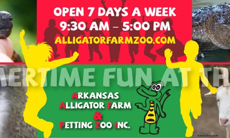 Ferme d alligators de l Arkansas et zoo pour enfants 