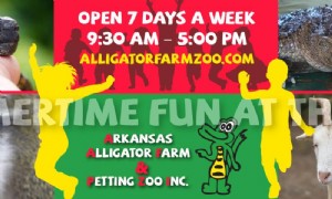 Ferme d alligators de l Arkansas et zoo pour enfants 