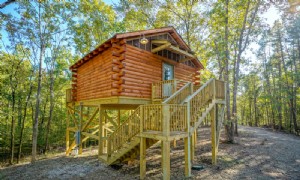 Apresentado:Hot Springs Treehouses 