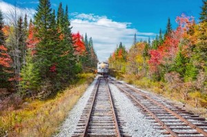 Explore el follaje de otoño en el estado de Nueva York en tren 
