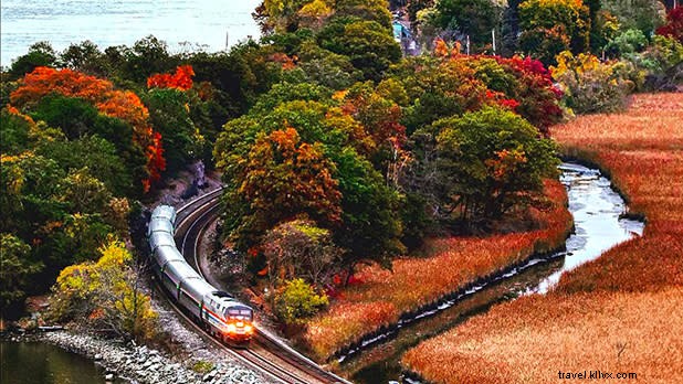 電車でニューヨーク州の紅葉を探索する 