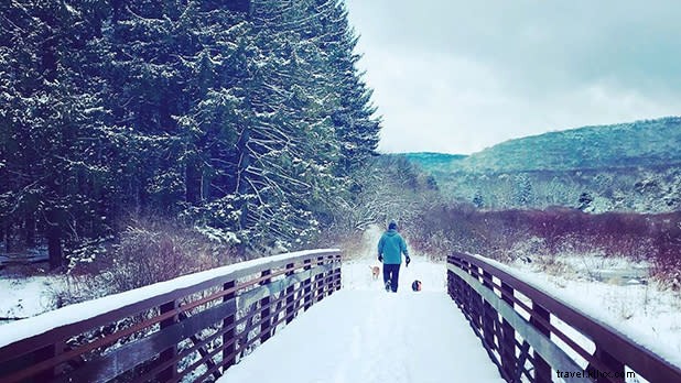 11 de las mejores caminatas de invierno fáciles en el estado de Nueva York 