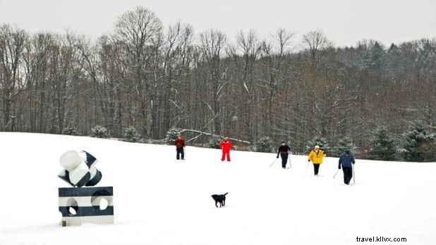 Atividades divertidas de inverno ao ar livre para todos no estado de Nova York 