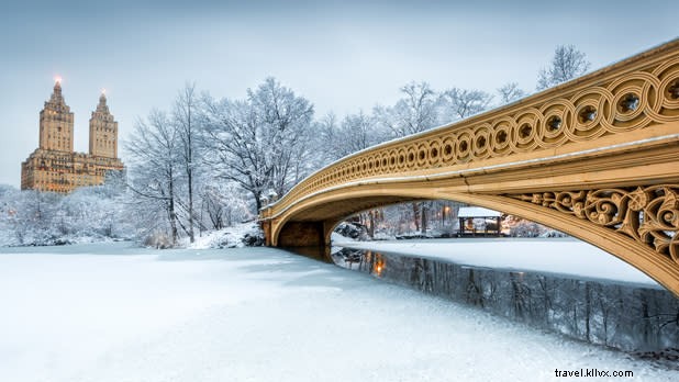11 cenas de inverno em Nova York para definir como plano de fundo de videoconferência 