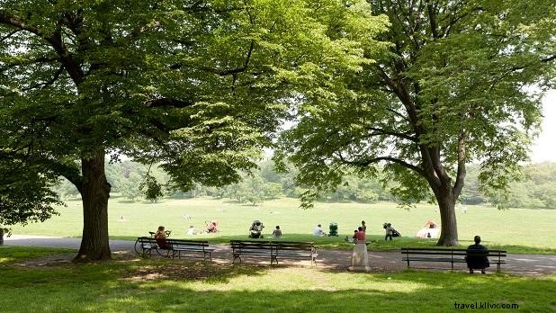 12 Tempat Piknik Terbaik di Negara Bagian New York 