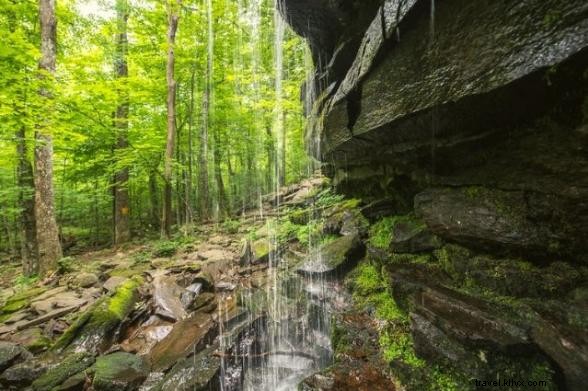 5 des meilleures randonnées du comté de Greene dans les Catskills 