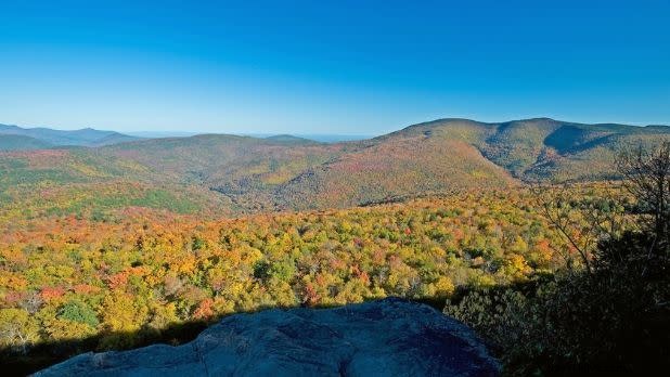14 Jalur Lintas Alam Catskills Terbaik untuk Setiap Level Pendaki 