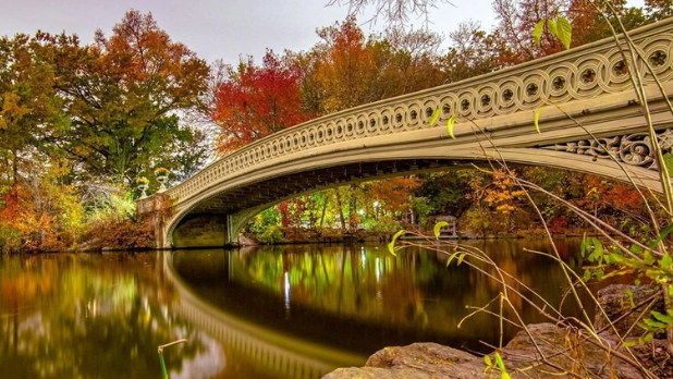 Escapadinhas coloridas de outono em Nova York 