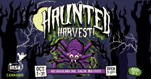 “Haunted Harvest” Insa Merayakan Halloween dan Hubungannya dengan Penyembuh &Sihir Sepanjang Oktober 