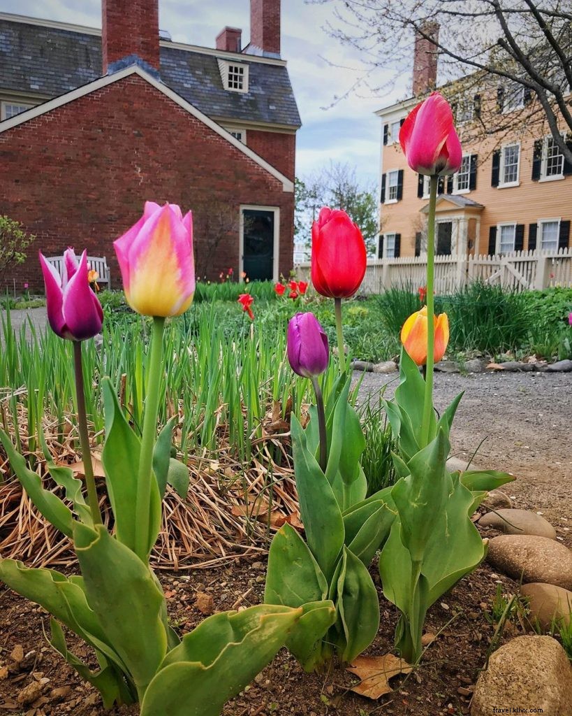 3 jardins para visitar em Salem, Massachusetts 