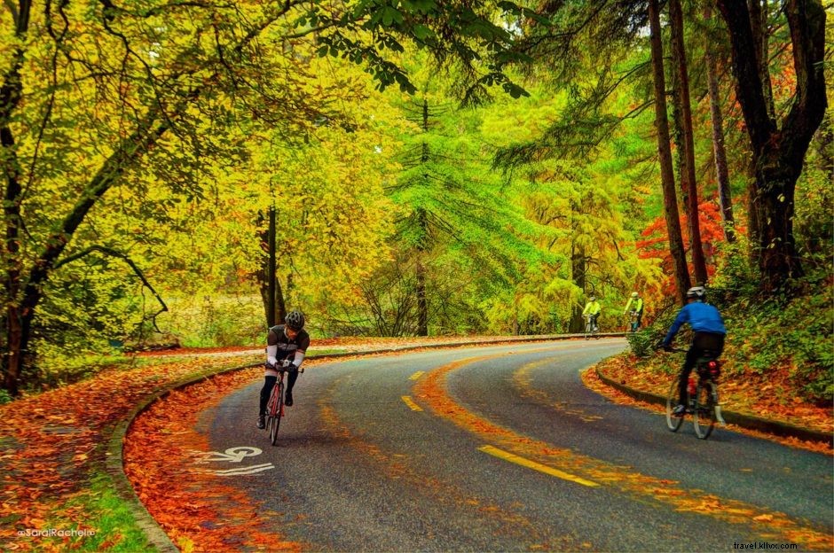 9 raisons pour lesquelles vous devez voir Seattle à l automne 