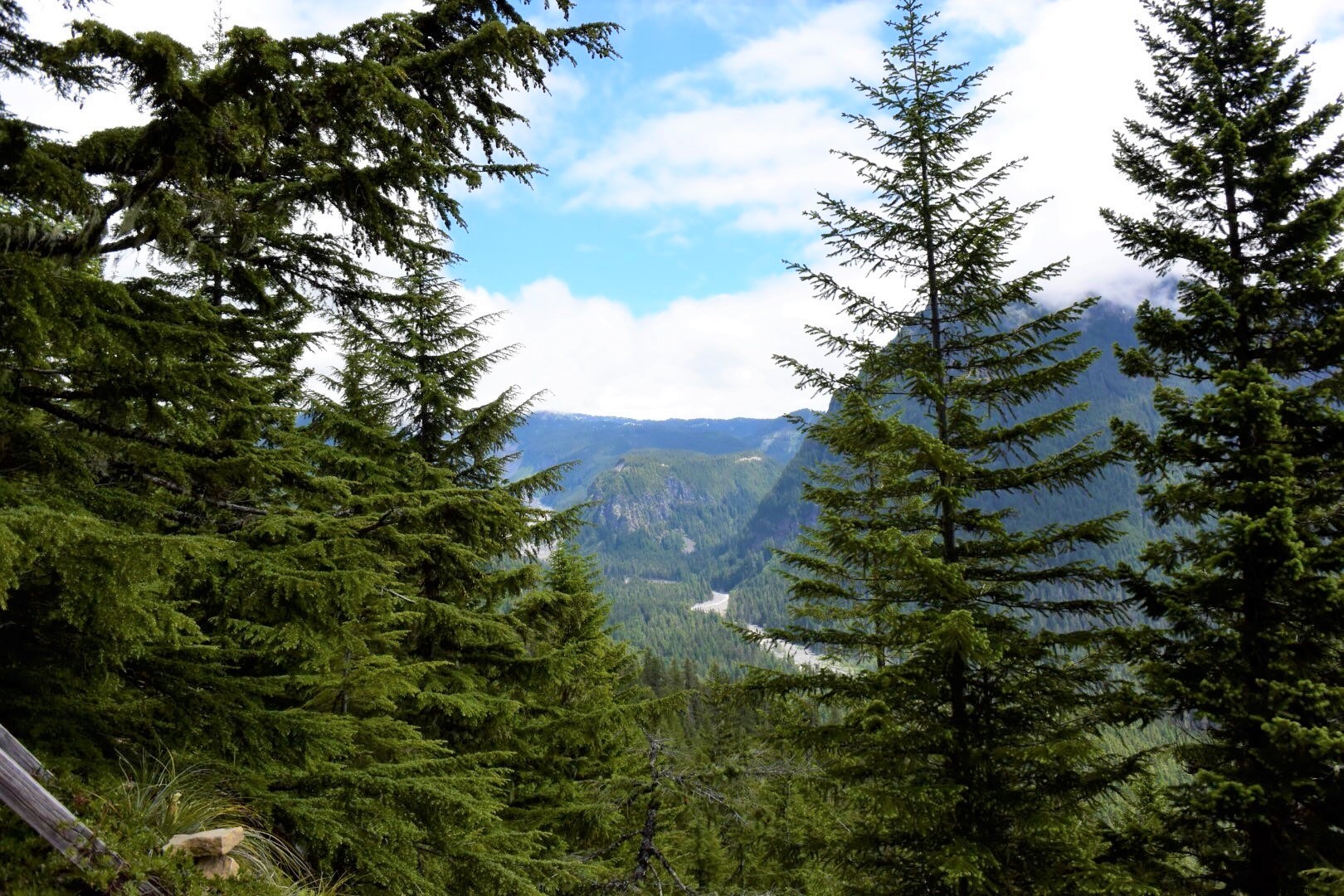 As montanhas estão chamando:Parque Nacional do Monte Rainier 