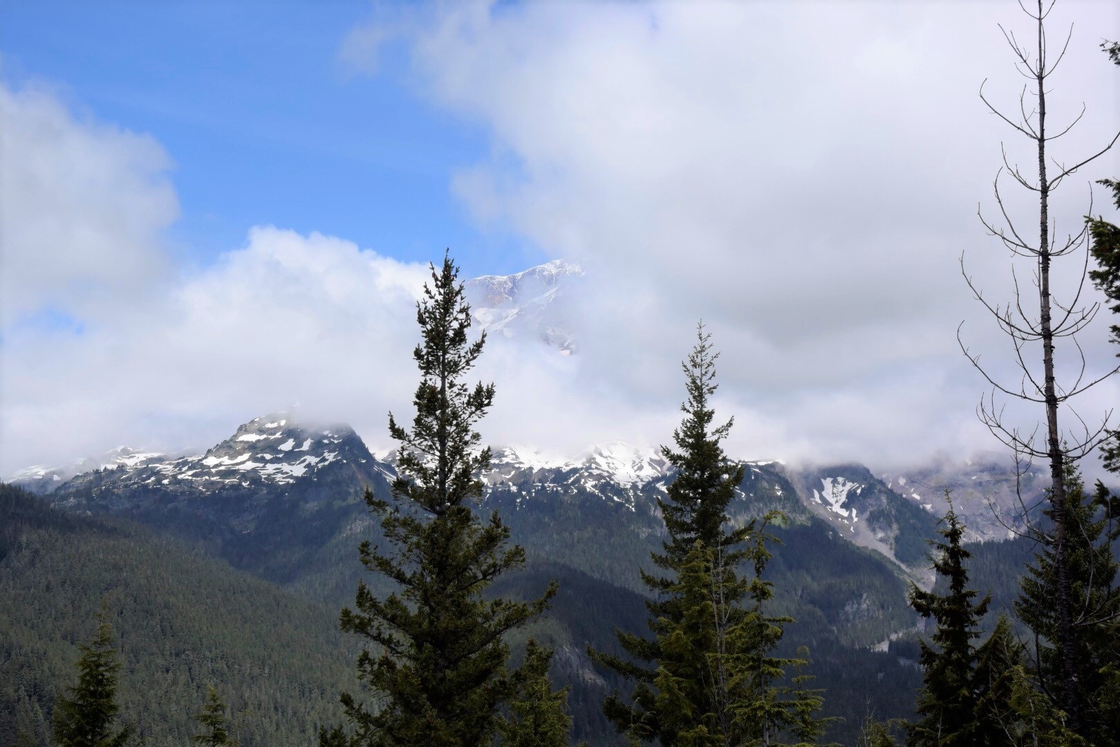 Las montañas están llamando:Parque Nacional Monte Rainier 