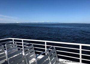 Observação de baleias com o Puget Sound Express 
