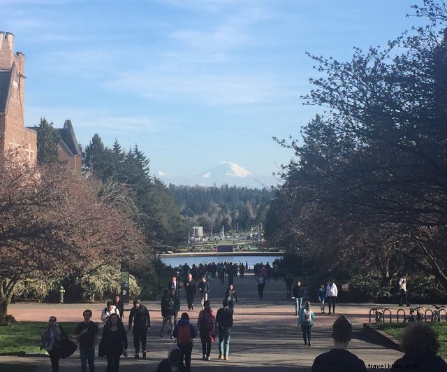 Paraíso para a PNW:Por que Seattle? 