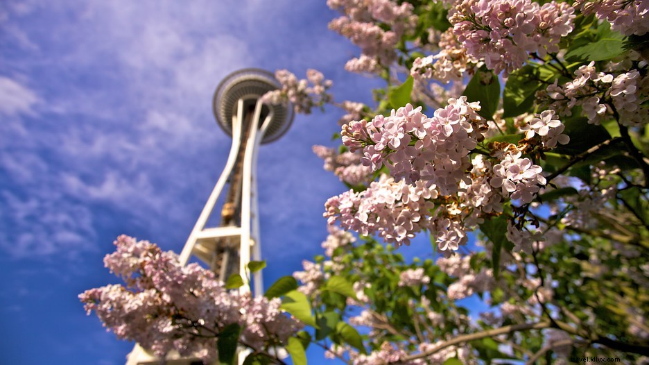 今年の春にシアトルを訪れる7つの理由 