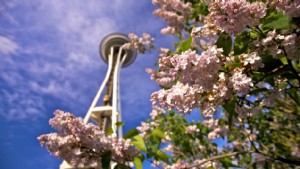 7 raisons de visiter Seattle ce printemps 