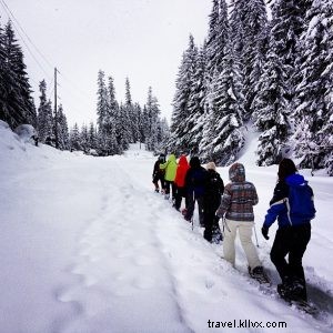 Caminhando em um país das maravilhas do inverno (com raquetes de neve) 
