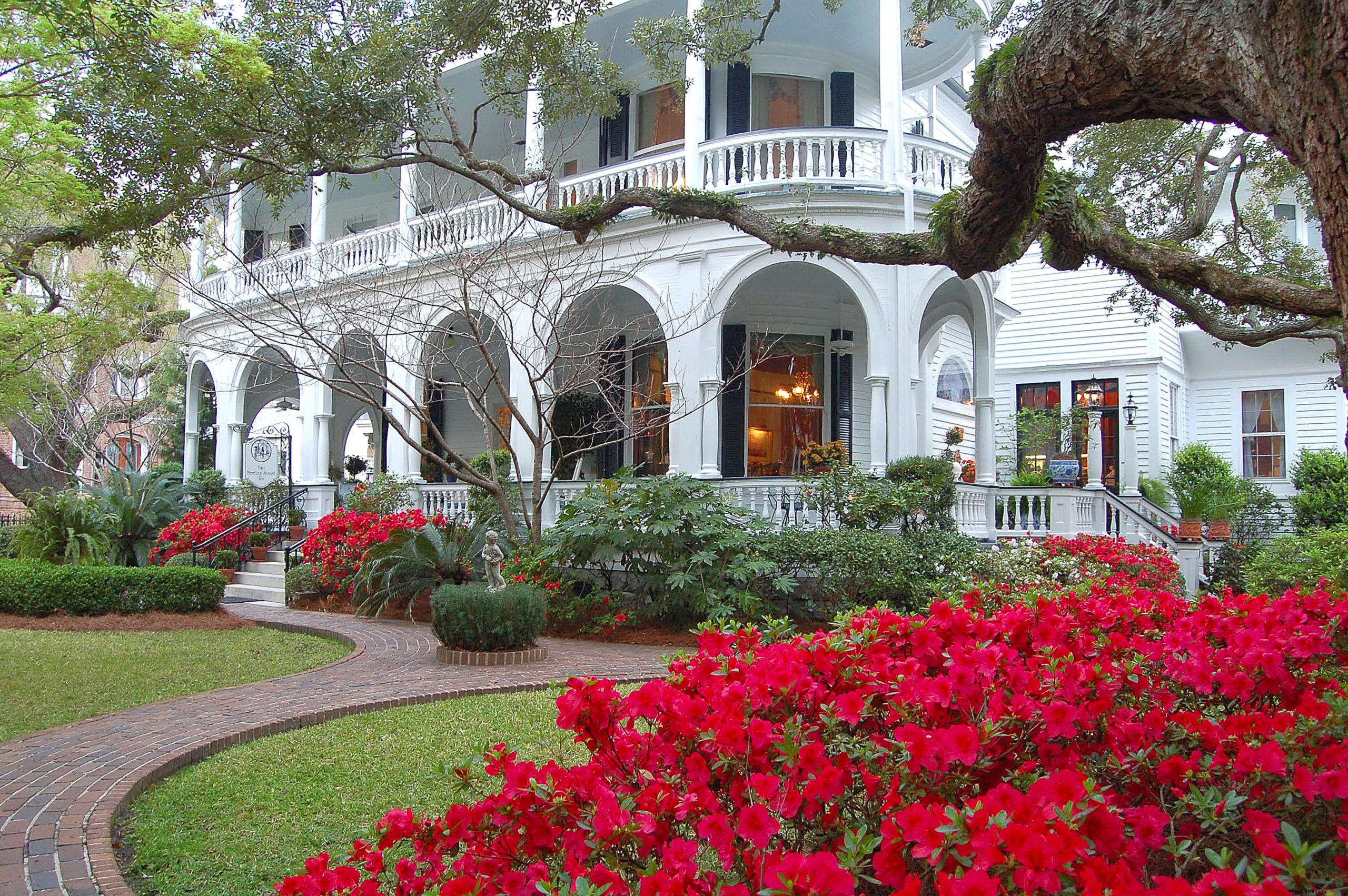 10 B&B di Charleston che ti faranno venire voglia di trasferirti 