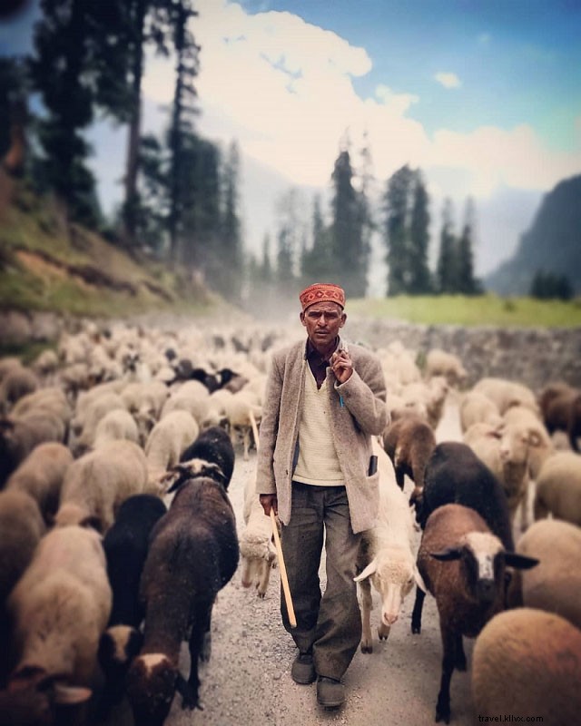 Expérience de village à Chamba, Himachal Pradesh