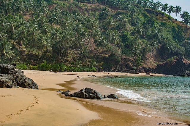 Una guía rápida de la playa de Agonda, Goa del sur