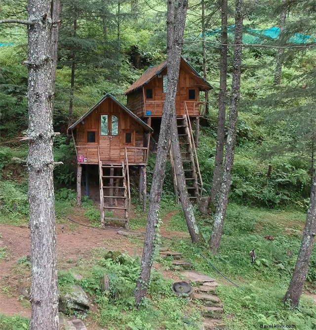 Kotkhai:para una casa en el árbol en la experiencia de Shimla
