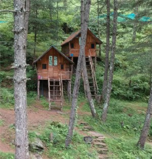 Kotkhai - Pour une cabane dans les arbres à Shimla Experience