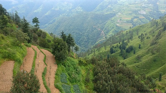 Cheog Village :une destination décalée près de Shimla