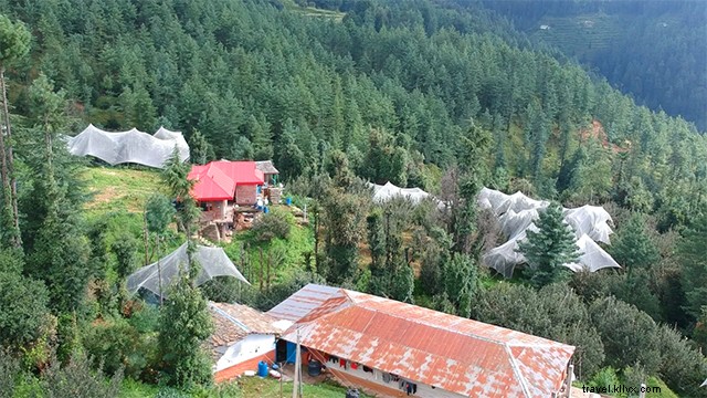 Cheog Village :une destination décalée près de Shimla