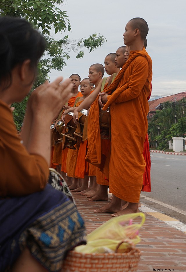 Luang Prabang Tak Bat:Cerimônia de Entrega de Esmola Matinal, Em fotos
