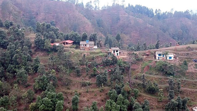 Expérience de village local à Kumaon Uttarakhand