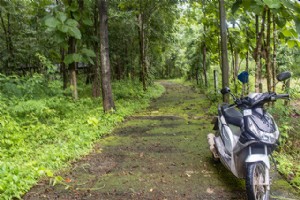 Tips Perjalanan Goa:5 Tips Berguna Untuk Merencanakan Perjalanan Anda Lebih Baik