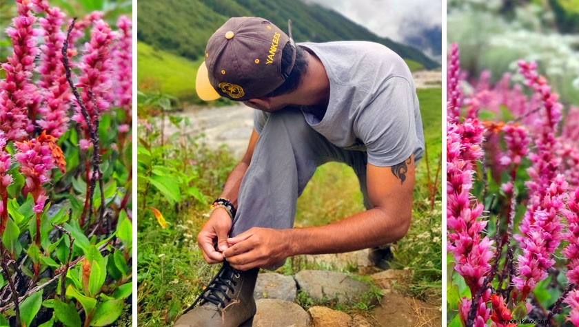 Hemkund Sahib Trek et le trek de la vallée des fleurs :un guide de voyage idéal