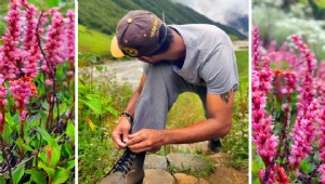 Trek Hemkund Sahib Dan Trek Lembah Bunga:Panduan Perjalanan Ideal
