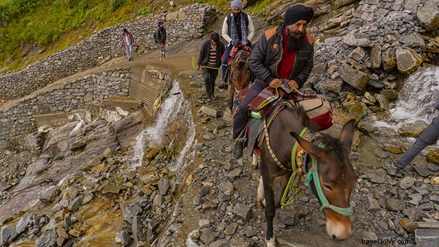 Hemkund Sahib Trek y el valle de las flores Trek:una guía de viaje ideal