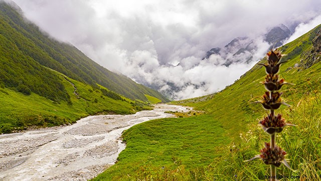 Trekking nella Valle dei Fiori:il periodo migliore per visitarlo, Itinerario consigliato e altro