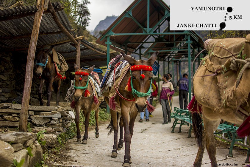 Panduan Ideal Untuk Char Dham Yatra:Yamunotri, gangotri, Kedarnath, Badrinath