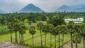 Kunjungan Saya Ke Desa Padavedu, Tamil Nadu