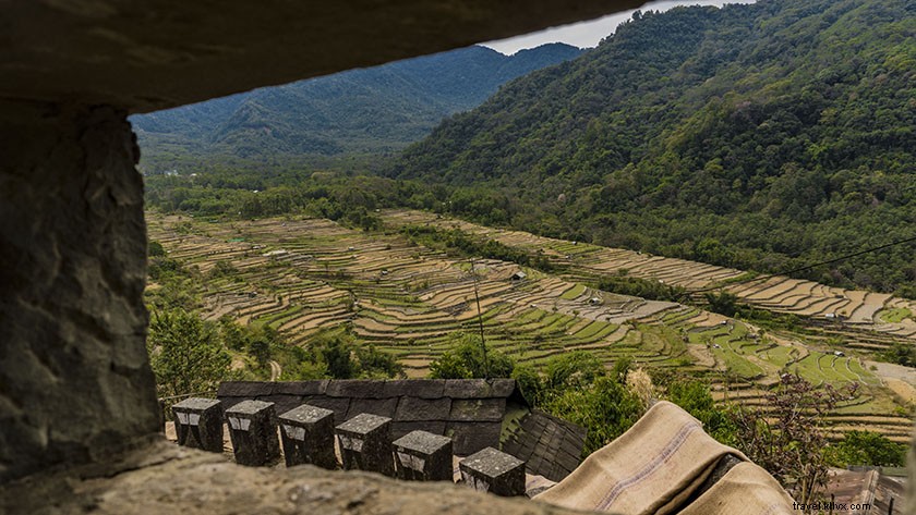 コノマの写真：アジア初の緑の村