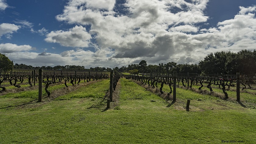 Excursion d une journée à Swan Valley :dégustation de vins au départ de Perth