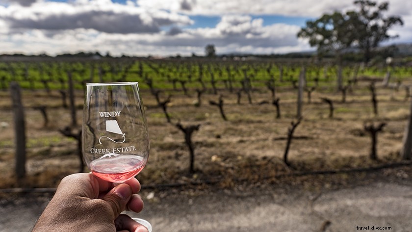 Gita di un giorno alla Swan Valley:tour di degustazione di vini da Perth