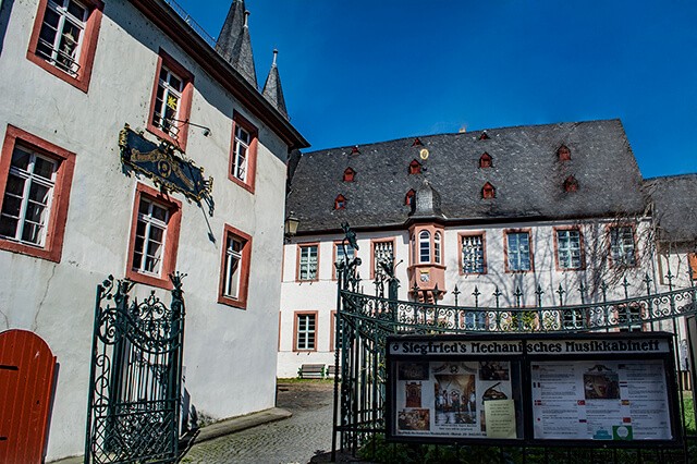 Excursion d une journée à Rüdesheim et à la ville de Bingen