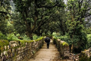 Guide de voyage de Rishikesh:Choses à faire, Où rester, Et plus