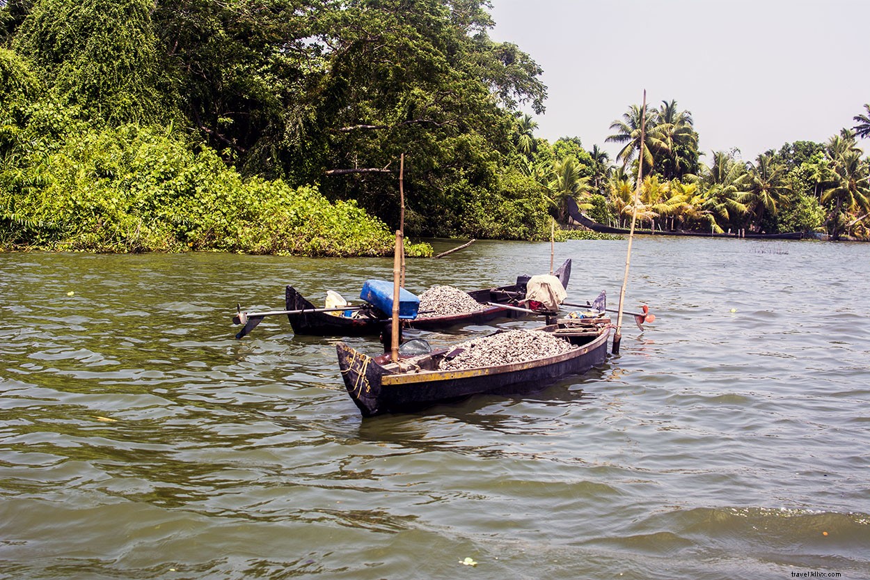 kehidupan Di Backwaters Of Alleppey, Kerala